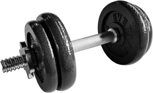 Everlast 10KG Cast Iron Dumbbell Set